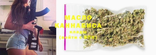 индика Вяземский