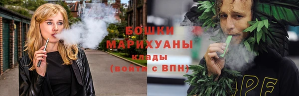 индика Вяземский
