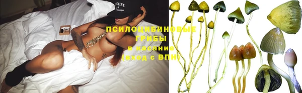 дмт Володарск