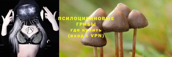 индика Вяземский