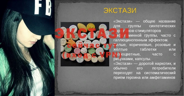 индика Вяземский
