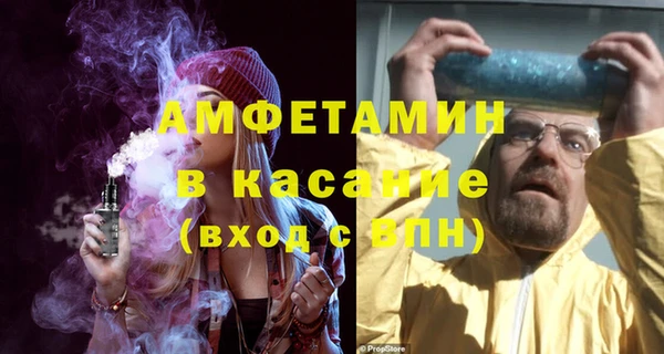 индика Вяземский
