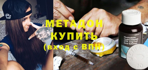 индика Вяземский