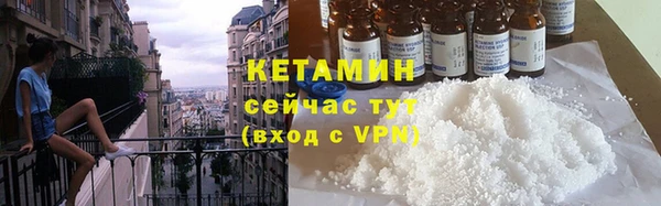 индика Вяземский