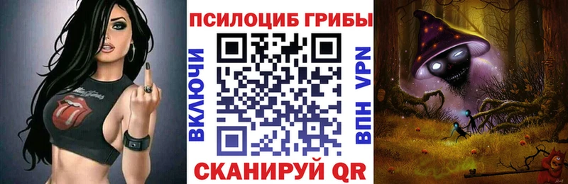 Псилоцибиновые грибы Cubensis  купить наркотик  Зея 